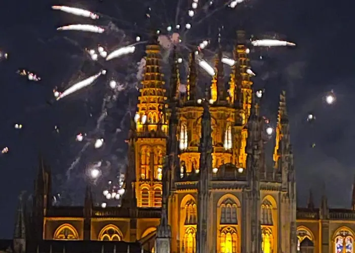 Atuaire Preciosa Vivienda Vistas A La Catedral Parking Incluido Burgos